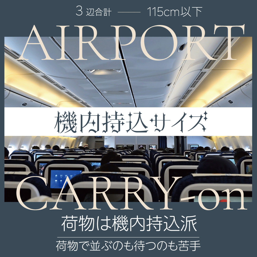 機内持ち込み可能